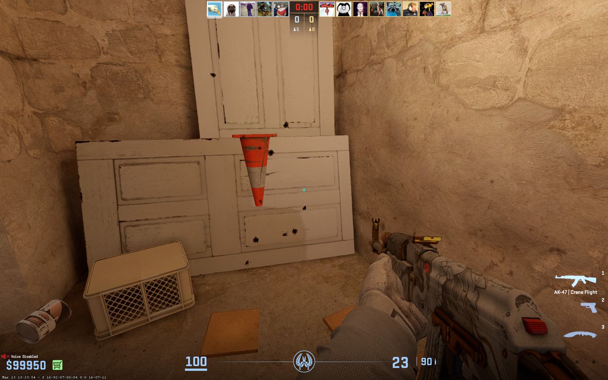 seagull_cam's tweet photo. Im the cs2 cone flipping master. No one is topping  this flip. https://t.co/seDzyqMMDo