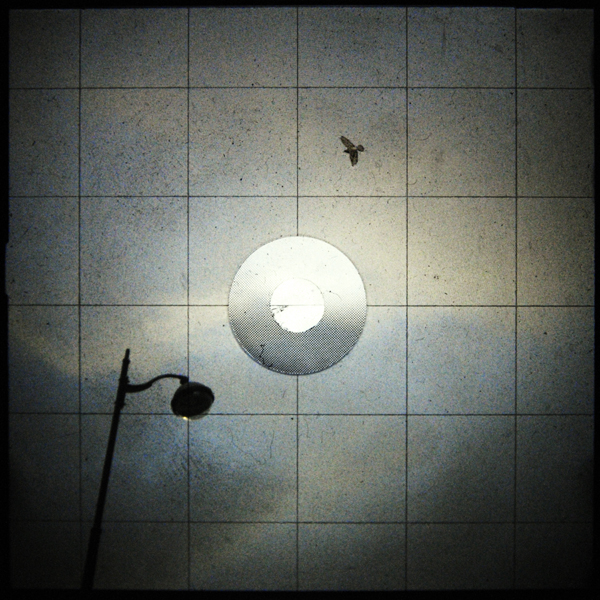 artlimitednet's tweet image. J'ai perdu le si de ma clarinette by C L artlimited.net/comelegaut
#rolleiflex #nuit #animal #paris #exhibition #throughthelens #nikon #croche #photographyislife #mystery #photography #d300 @nikon1917 @nikonusa #oiseau #bird #nature @nikonnews #square