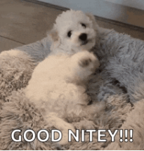 Richland County Sheriff's Dept. tweet media