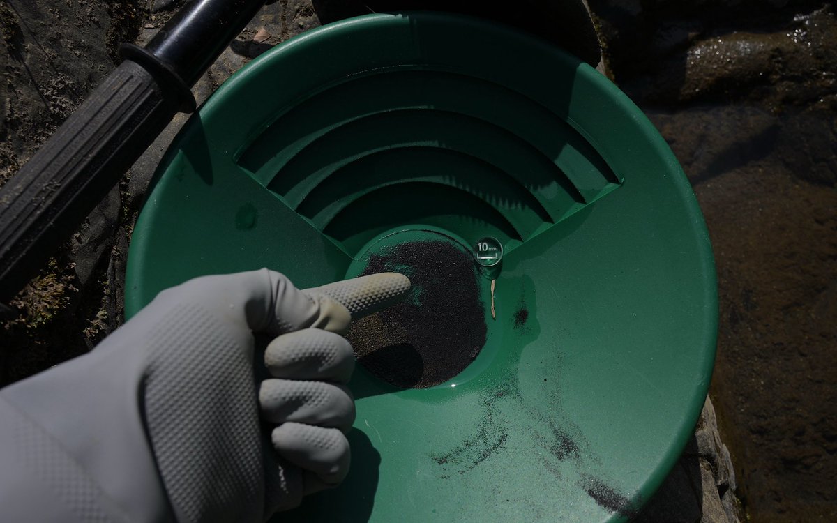 カルクウ tweet media