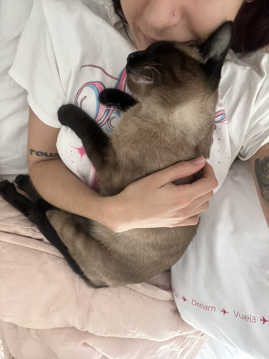 ale 🎀🩵 tweet media