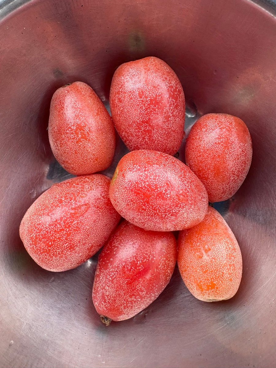 यो फलको नाम के होला? खान मिल्ने कि नमिल्ने फल हो?