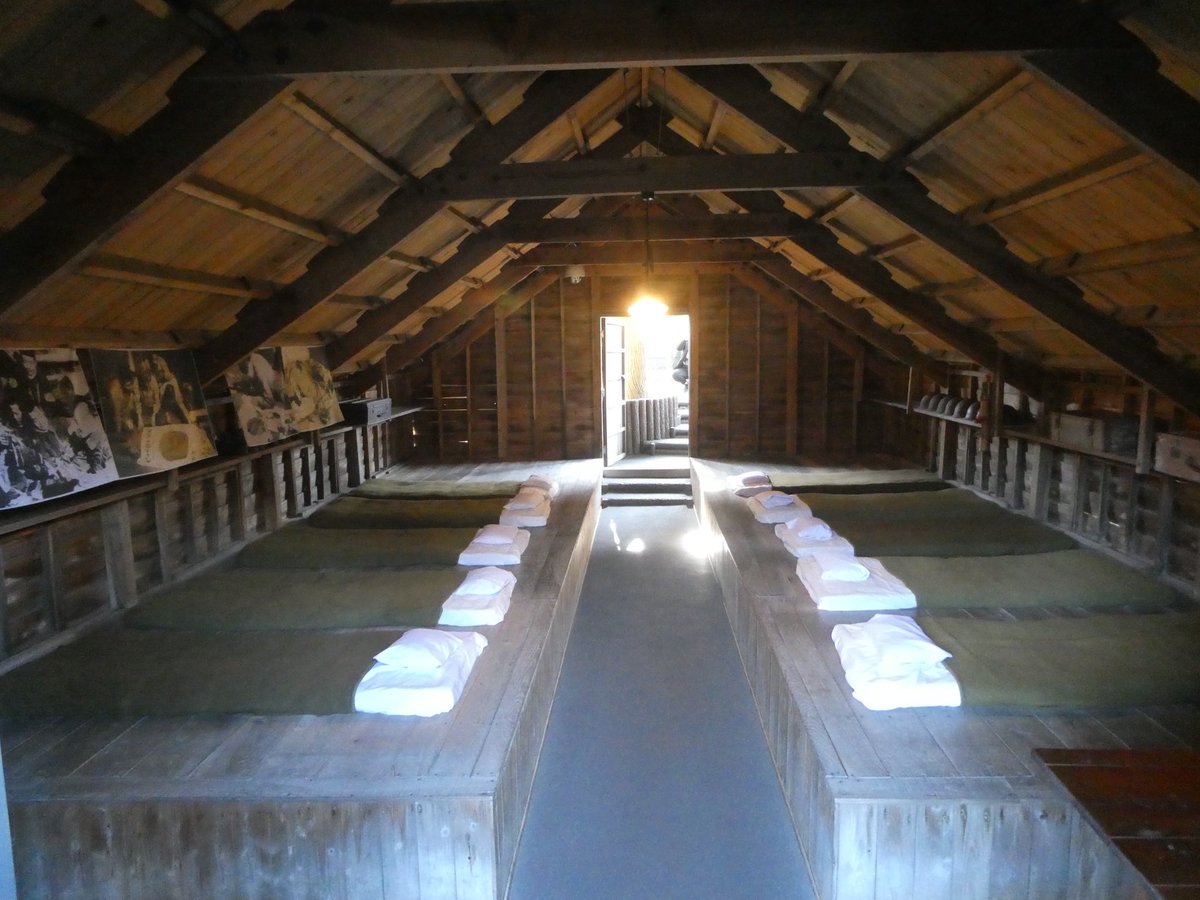 Phil Curme 🥾🪖 tweet media