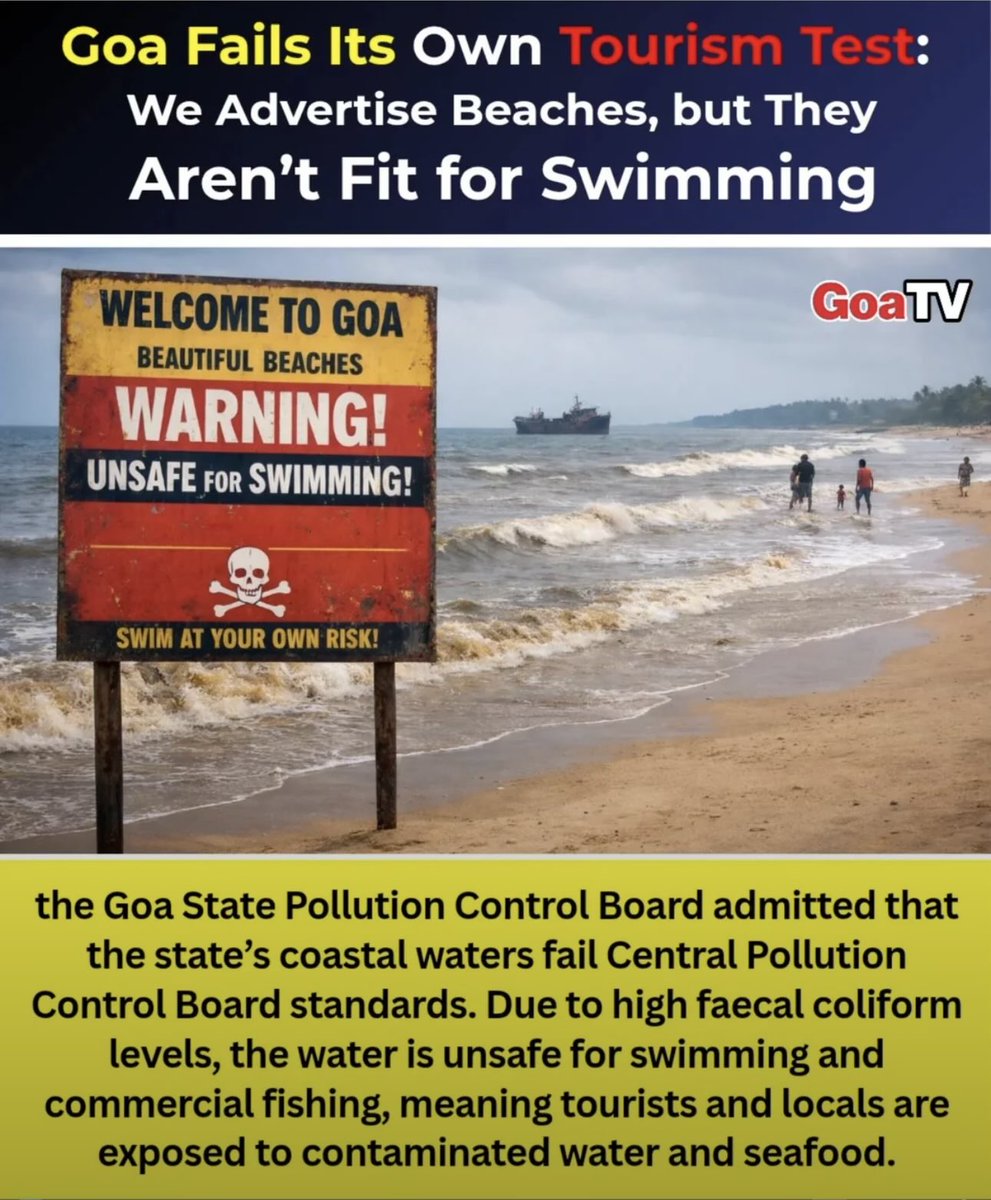 The Global South Reporter tweet media