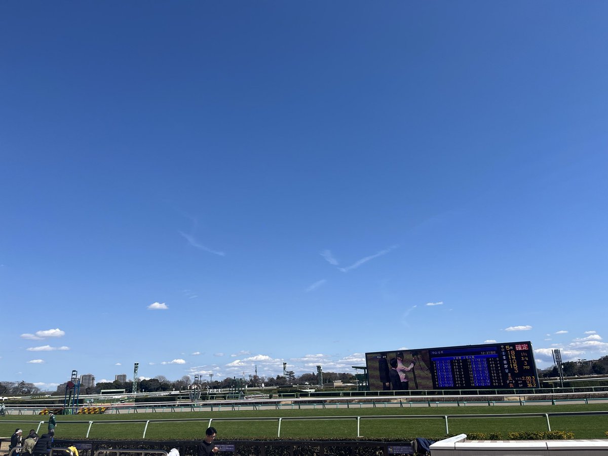 yuitter901's tweet photo. 初！中山競馬場🏇
テルヒコウを見に☺️
三着までに入ったら皐月賞🌿
がんばれテルヒコウー！！ https://t.co/DHBtDFEcSK