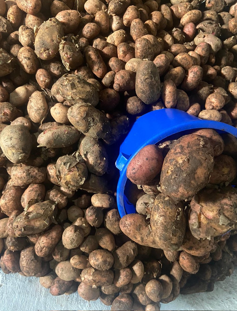 Tomorrow is Monday, the next day is Tuesday kut yizafike Friday silero...
K10000 only
Free delivery (selected areas)