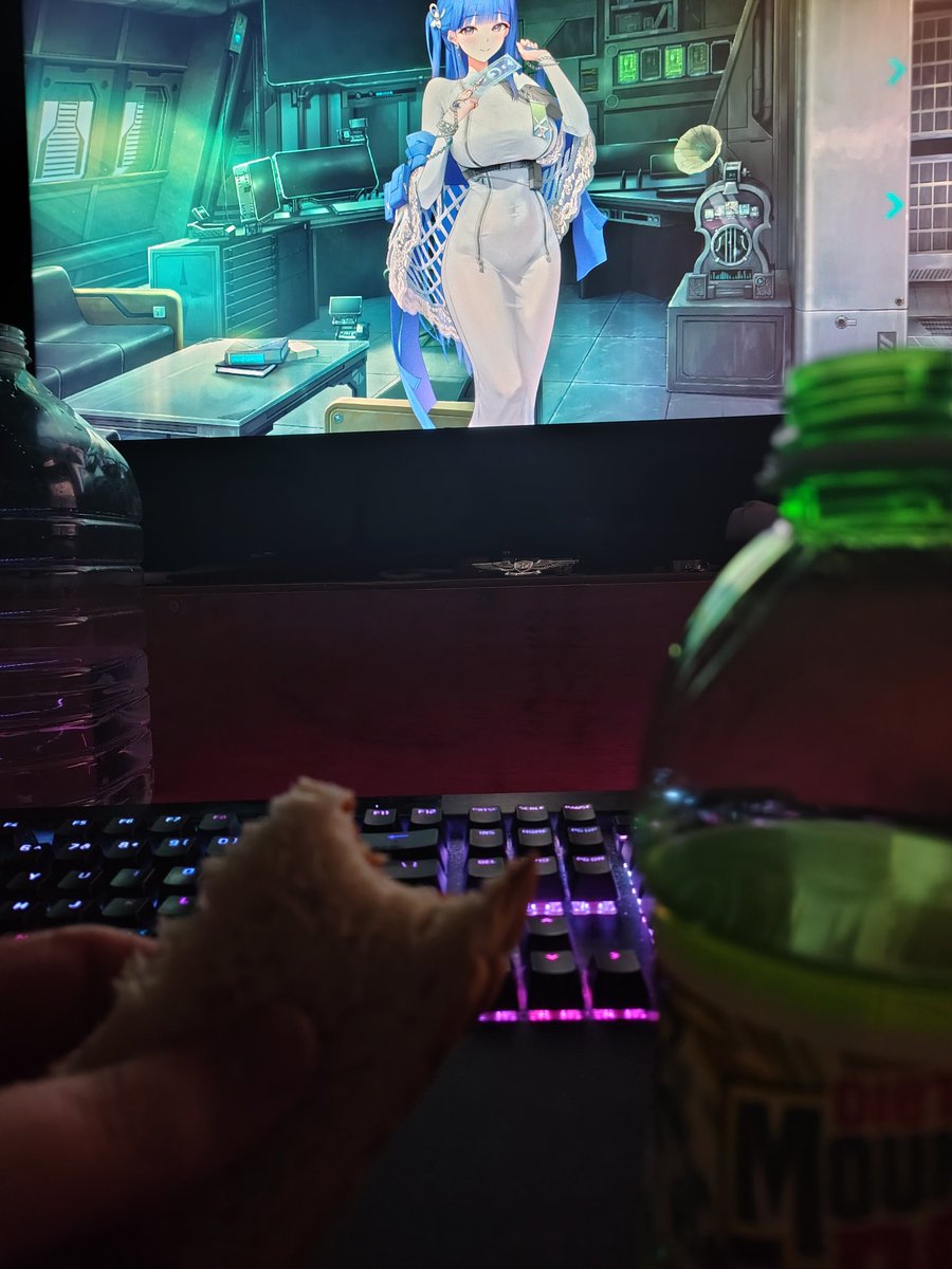 SmugMaxxing Rapi tweet media