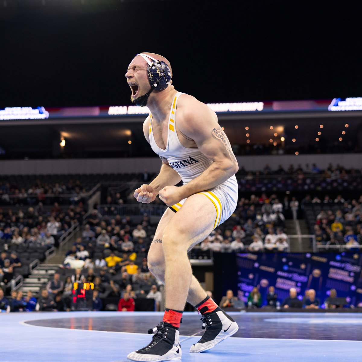 Augustana Vikings tweet media