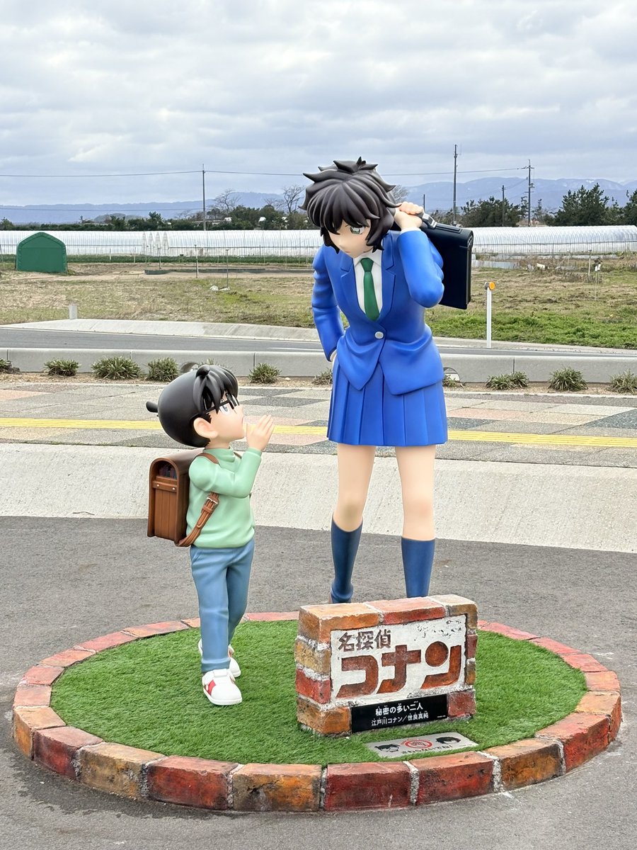 えびあほかど🦐🥑🧸👑 tweet media