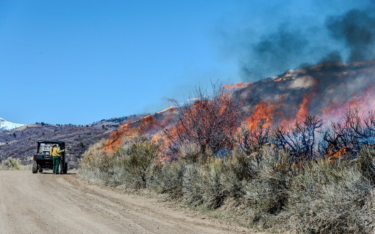 JasonKling2's tweet photo. Lots of good active management work occurring on the Fishlake National Forest! https://t.co/6Yr9IqI9nQ