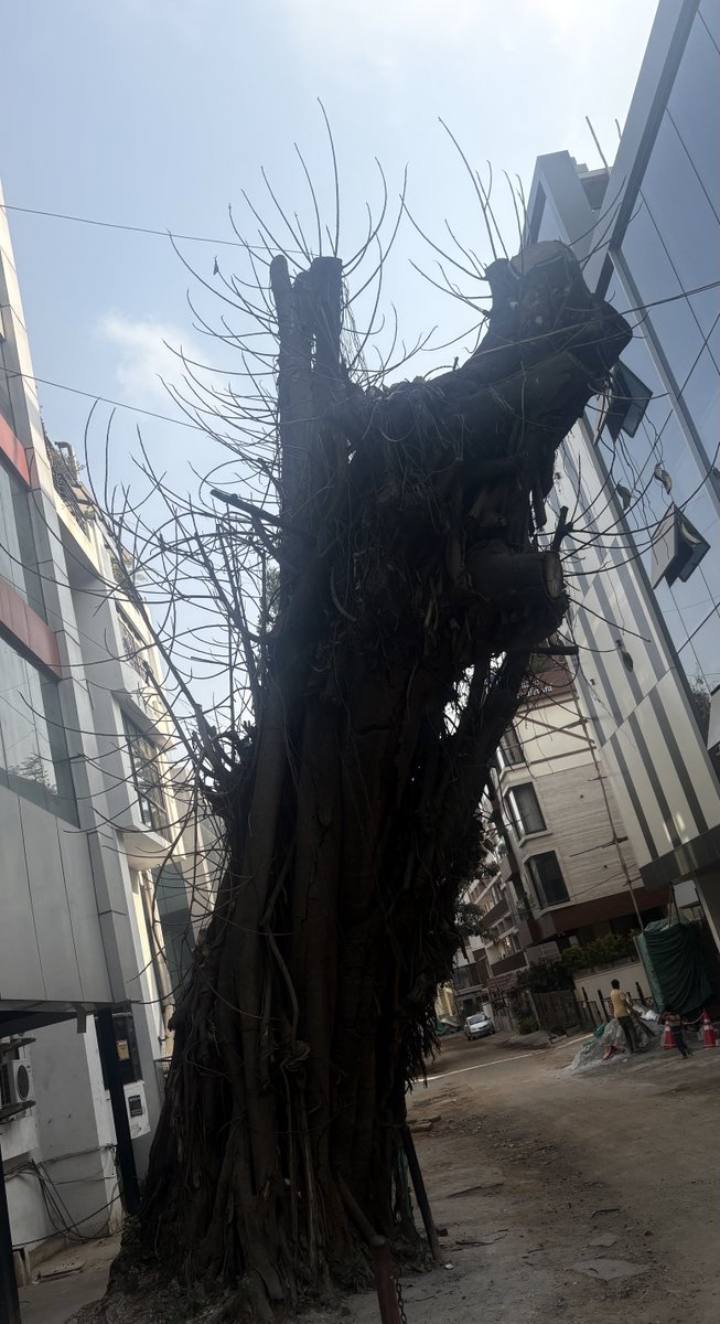 Manjunath K.S. / ಮಂಜುನಾಥ ಕೆ.ಎಸ್. tweet media