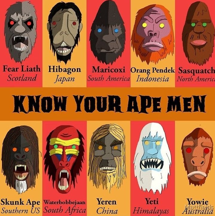 Cryptids And The Unknown tweet media