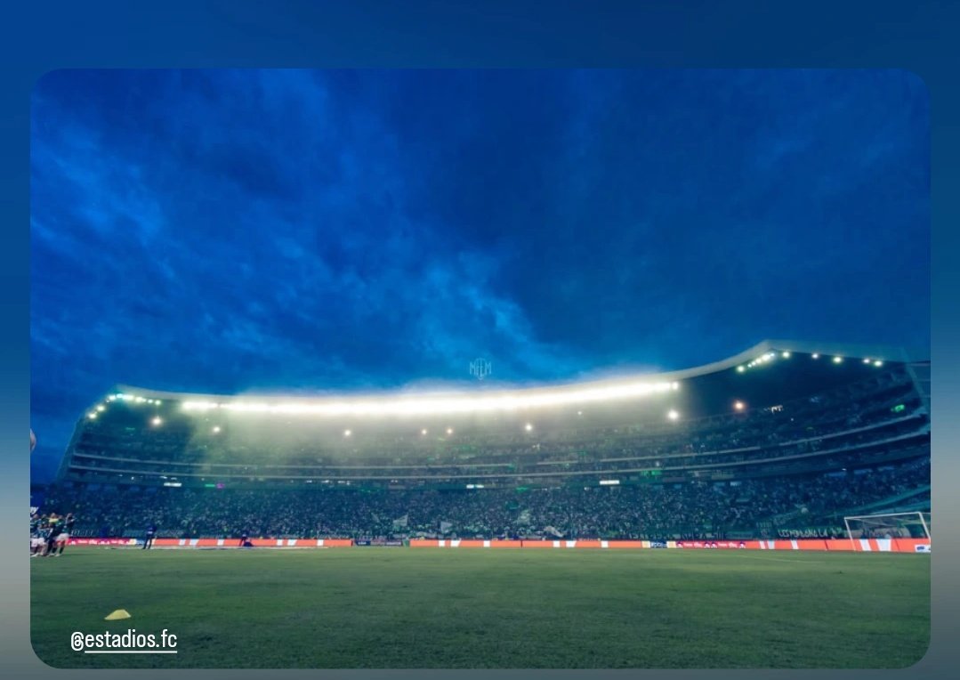 El miércoles hay que llenar Palmafiesta #vamoscali