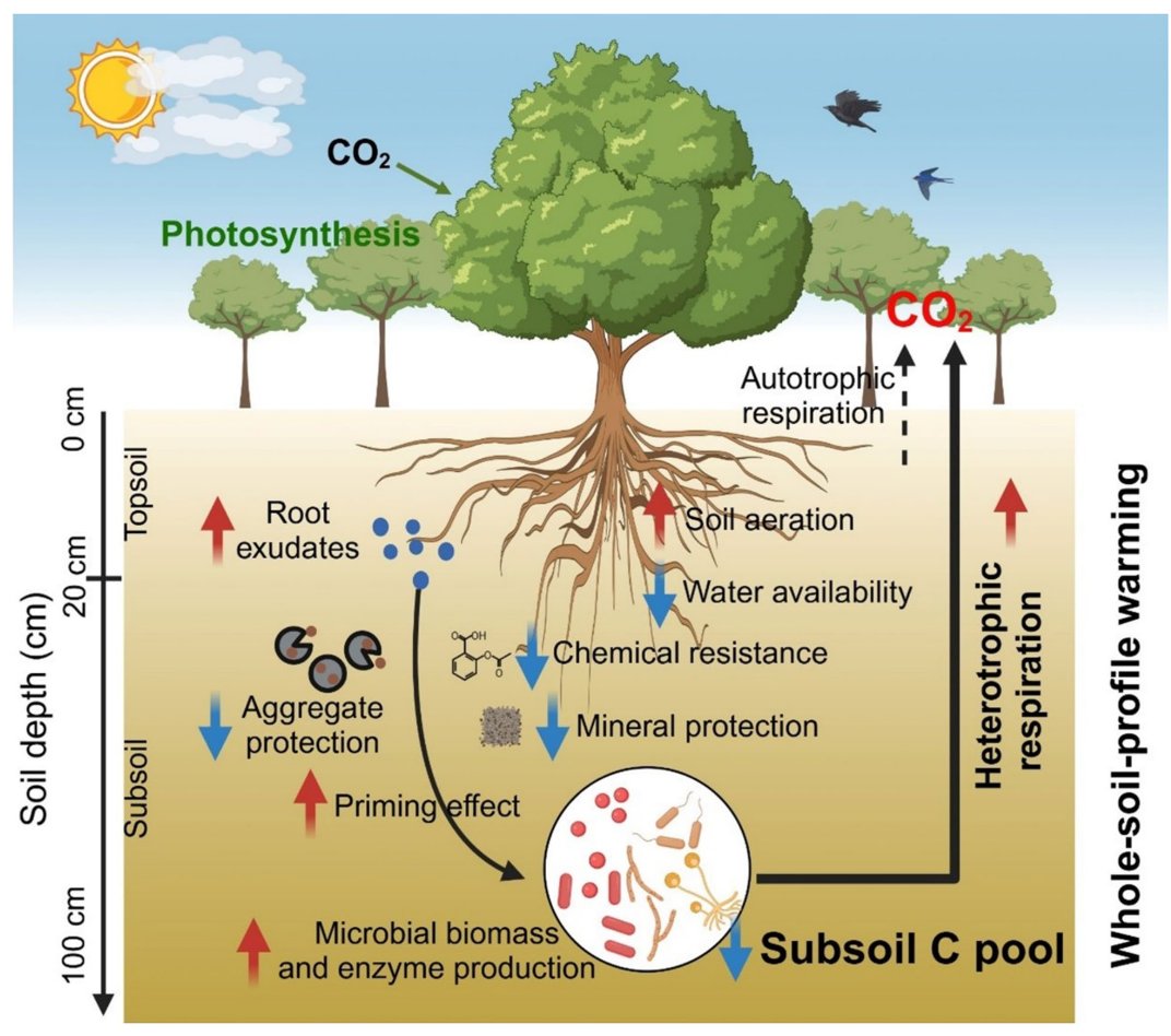 New Community tweet media