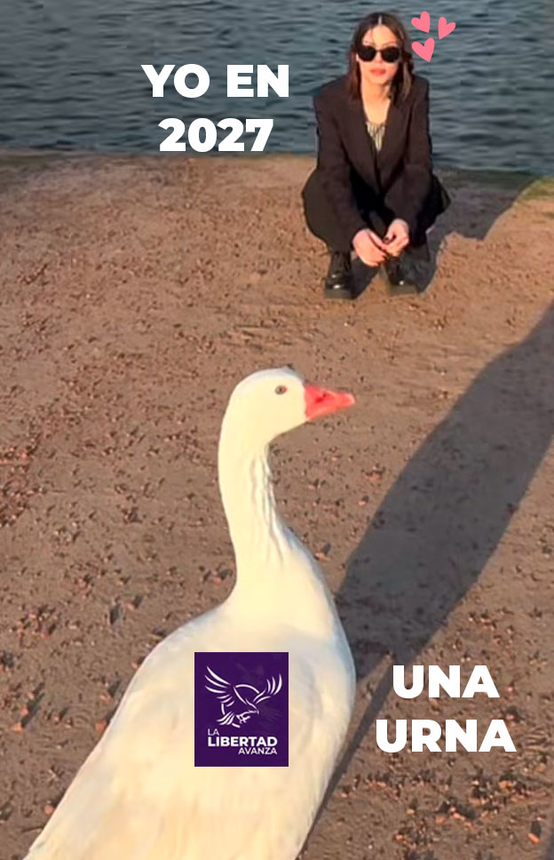 LeoDonelli's tweet photo. Se que falta mucho, pero ando re manija con ganas de votar a Javier Milei en 2027 #milei #javiermilei #kuka #kukas #cristina #hayquevotaralpresidente #nononoaguantemilei #novaresioesgay? #muriolanata #tonio #dan #gordodan
@marilongui alfín volvessss todo es felicidad https://t.co/7ebhTkctHJ