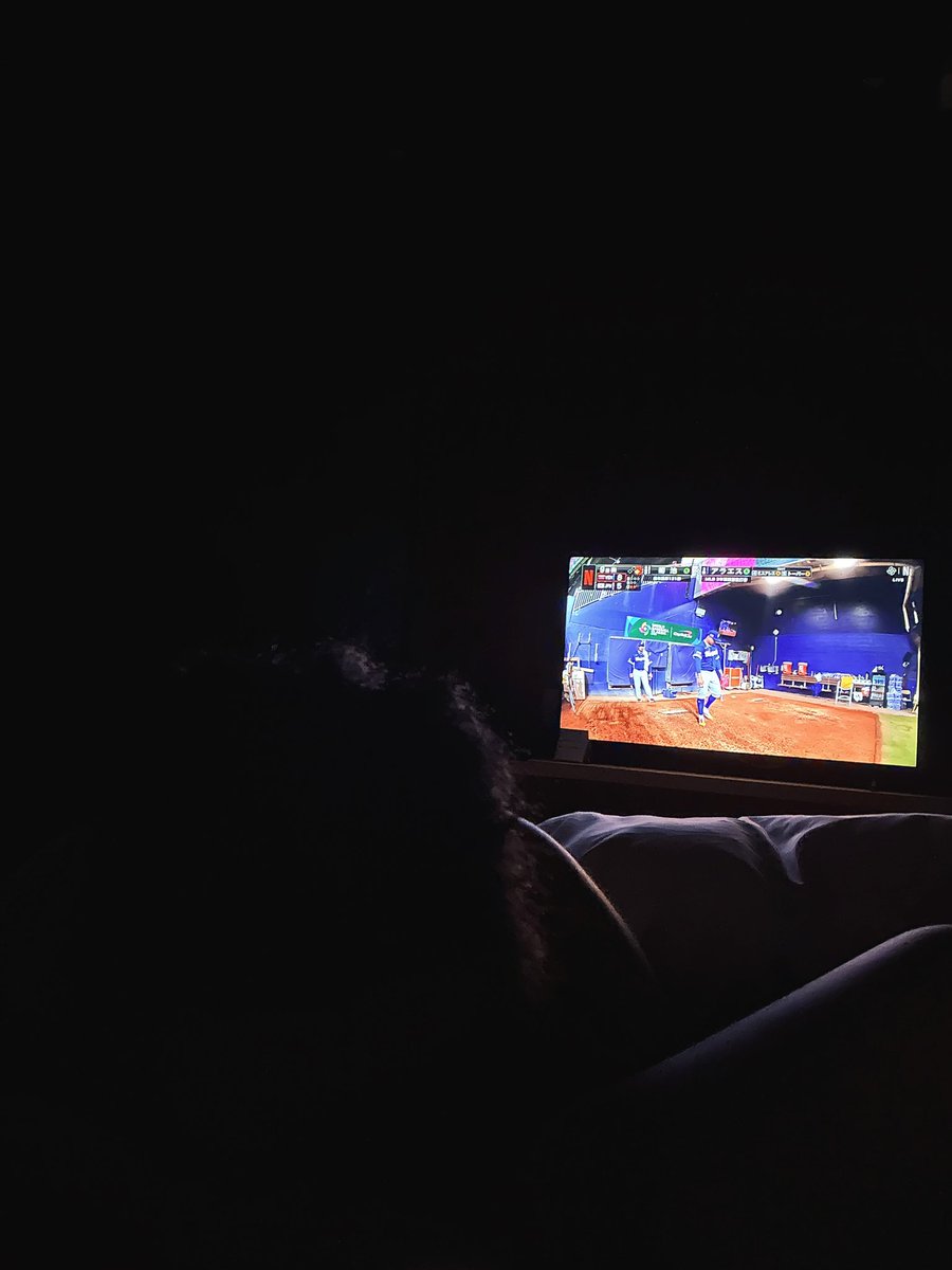 FTM08492224's tweet photo. 野球勝ってくれへん？

あ、舐め犬写ってたww https://t.co/eGRyJ9qwuv