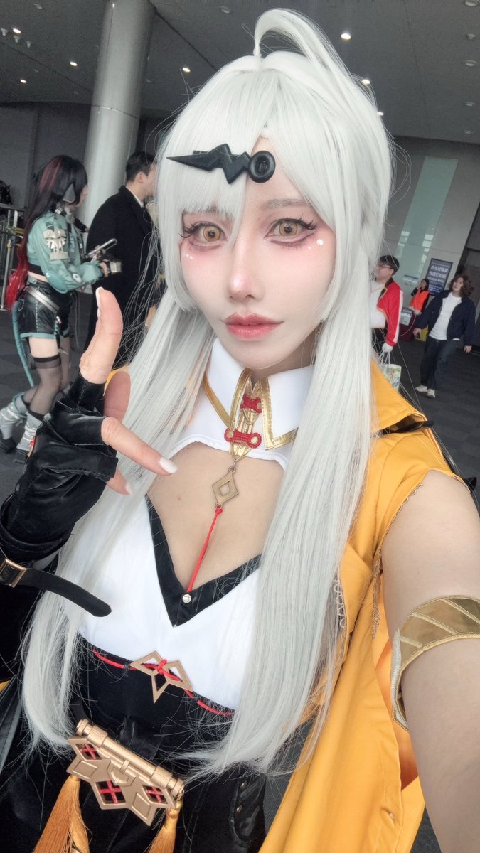 운전하는고양이 kittydrive tweet media