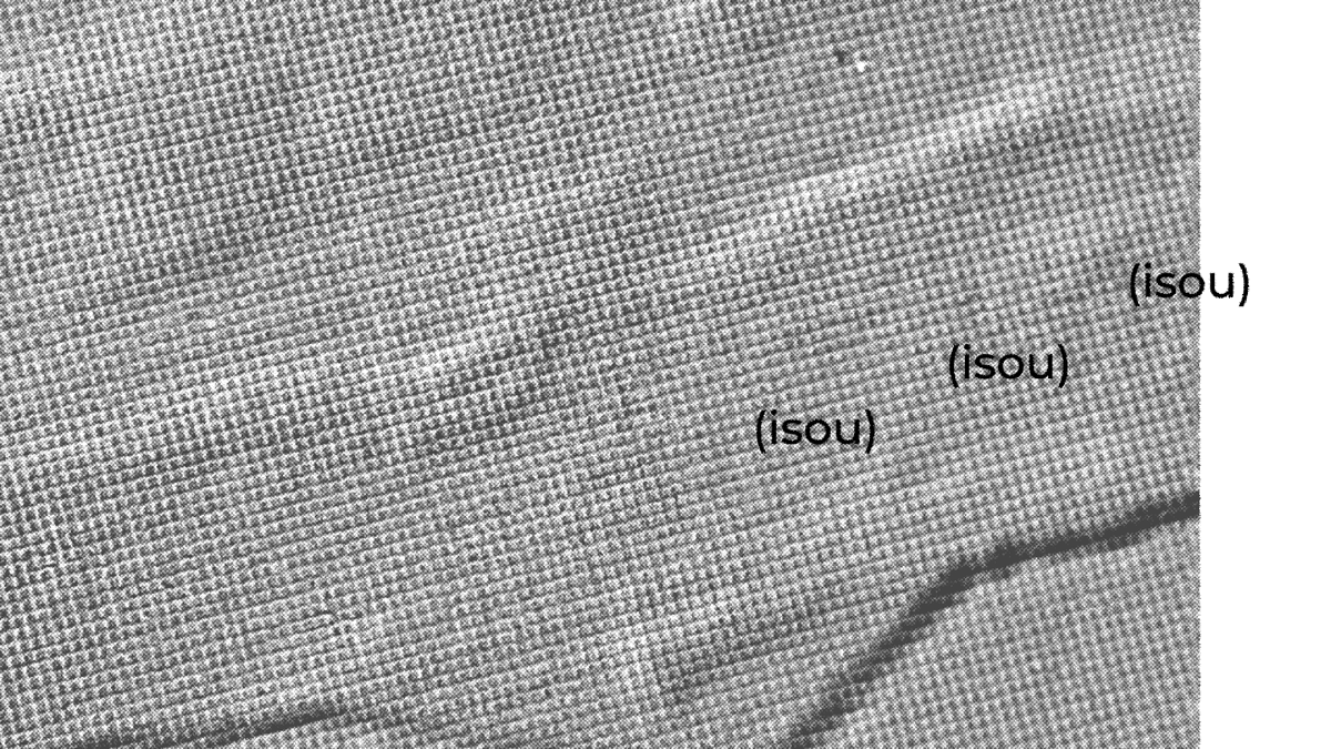 市川央 tweet media