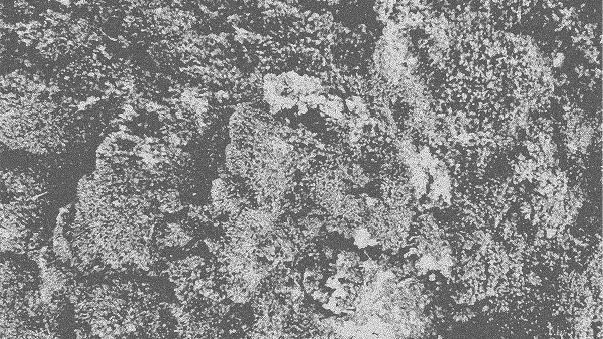 市川央 tweet media