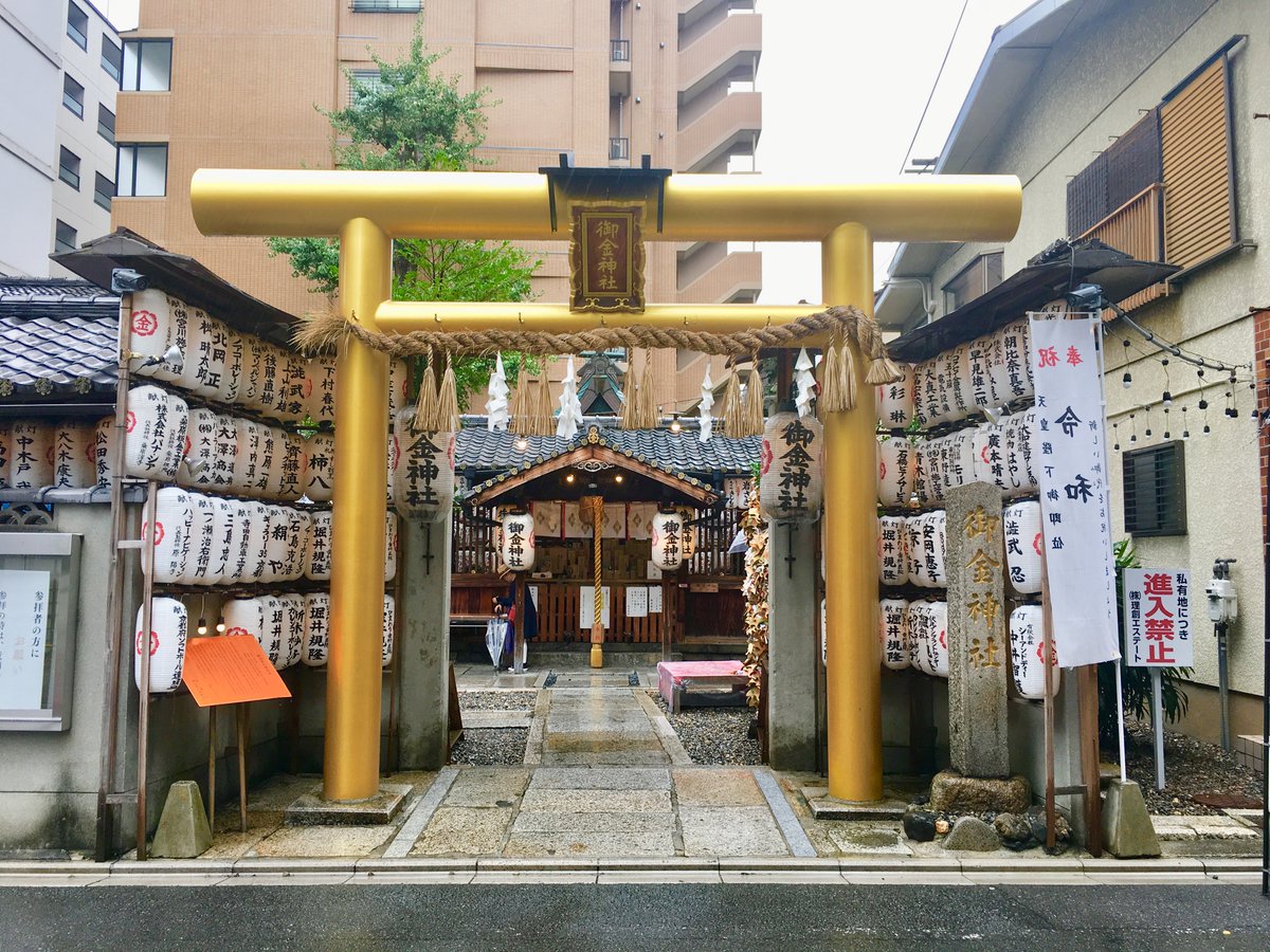 てん（弁財天）｜願いを引き寄せる白蛇占い師 tweet media