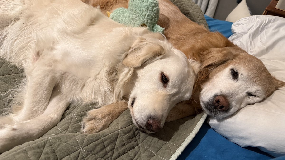 Mike Frezon tweet media