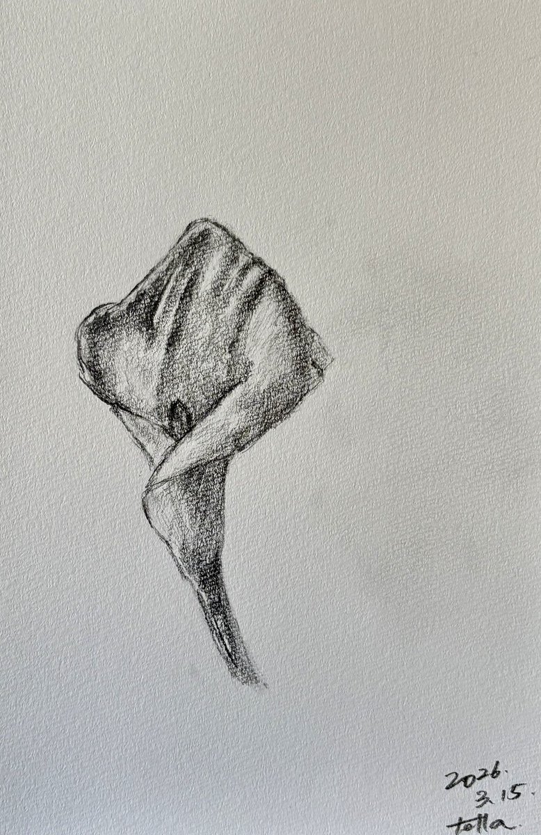 takashi455981's tweet image. 一時間デッサン#133
カラー
切花を頂いたので、一つ一つ描いてみようと思う　この子は光に向かわせたかった　光に何処がどれだけ近いか　光とセットの影　光の逆側　そして全部光に向かってる その力は力強い
#art #sketch #calla