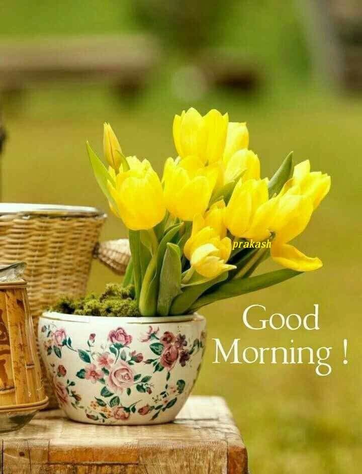 Vu-c Gule tweet media