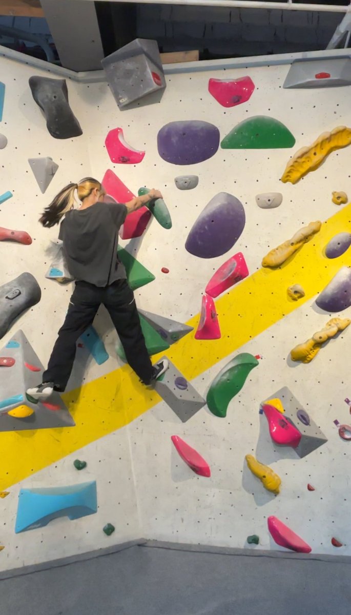 FLTR bee 🦋 tweet media