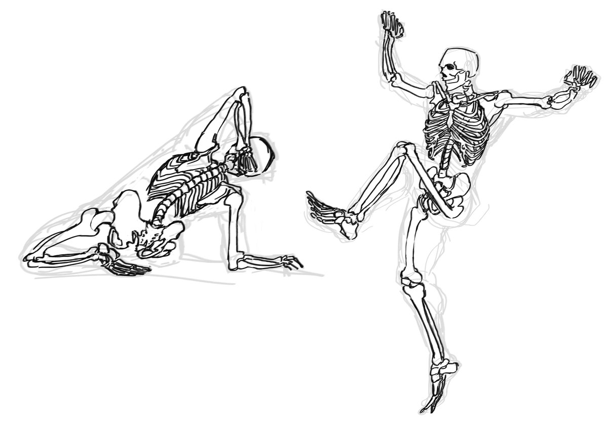 sen 🦈 tweet media