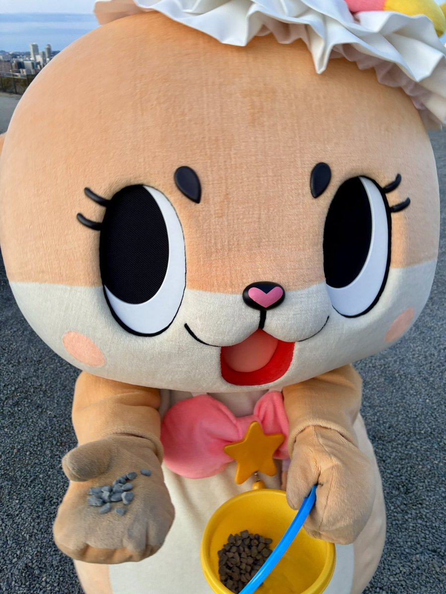 バケツをガシャガシャ鳴らしながら駆け寄ってきたちぃたん☆

何かと思ったら小石のプレゼント🎁

一生懸命あつめてくれてありがとう。
それにしても素晴らしい手の色ですこと🐾