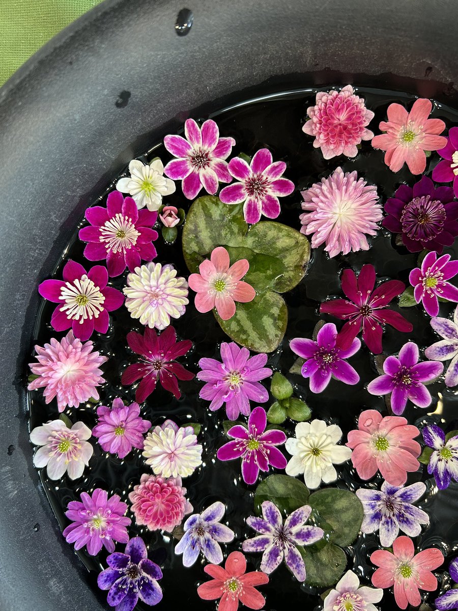 国営越後丘陵公園(公式) tweet media