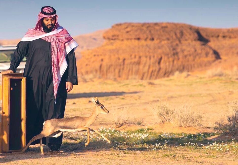 سِمار tweet media