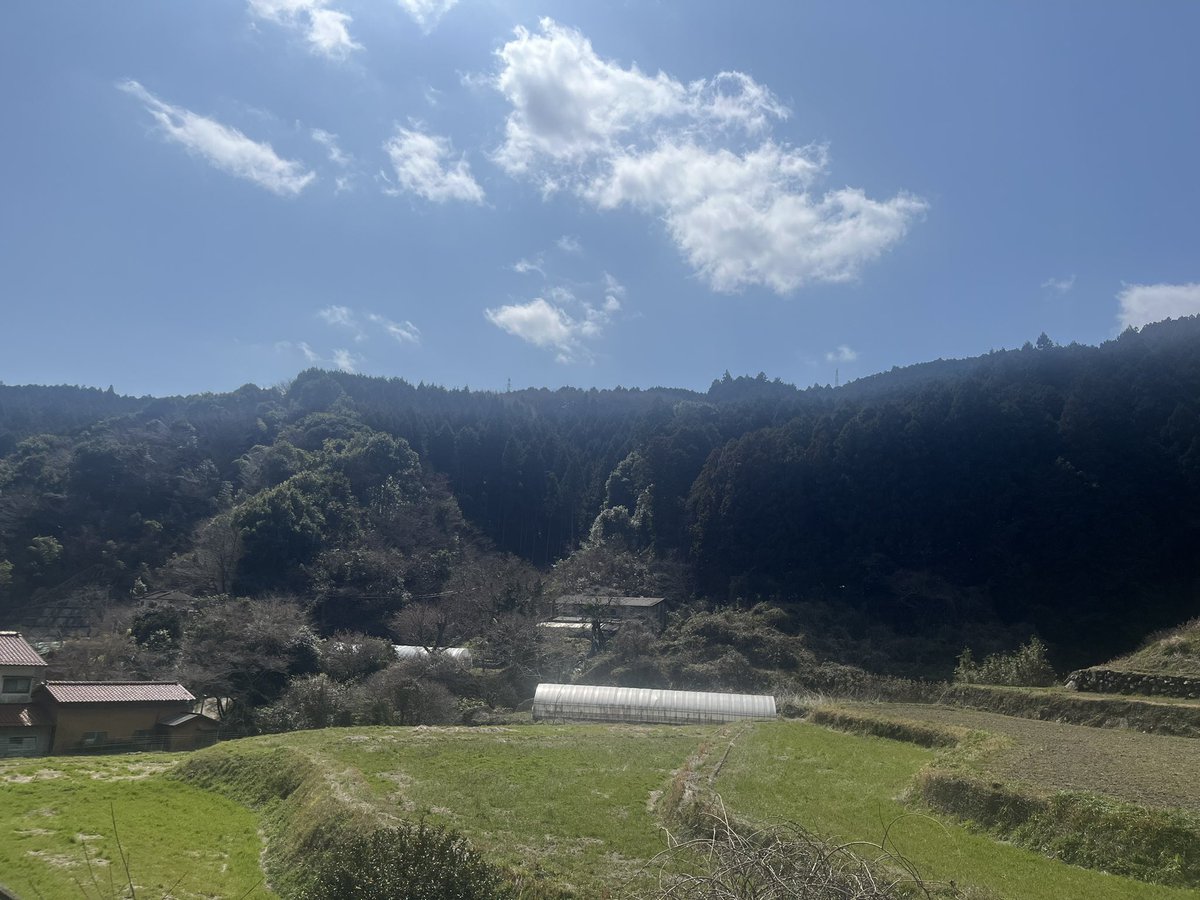 藤 桃子 tweet media