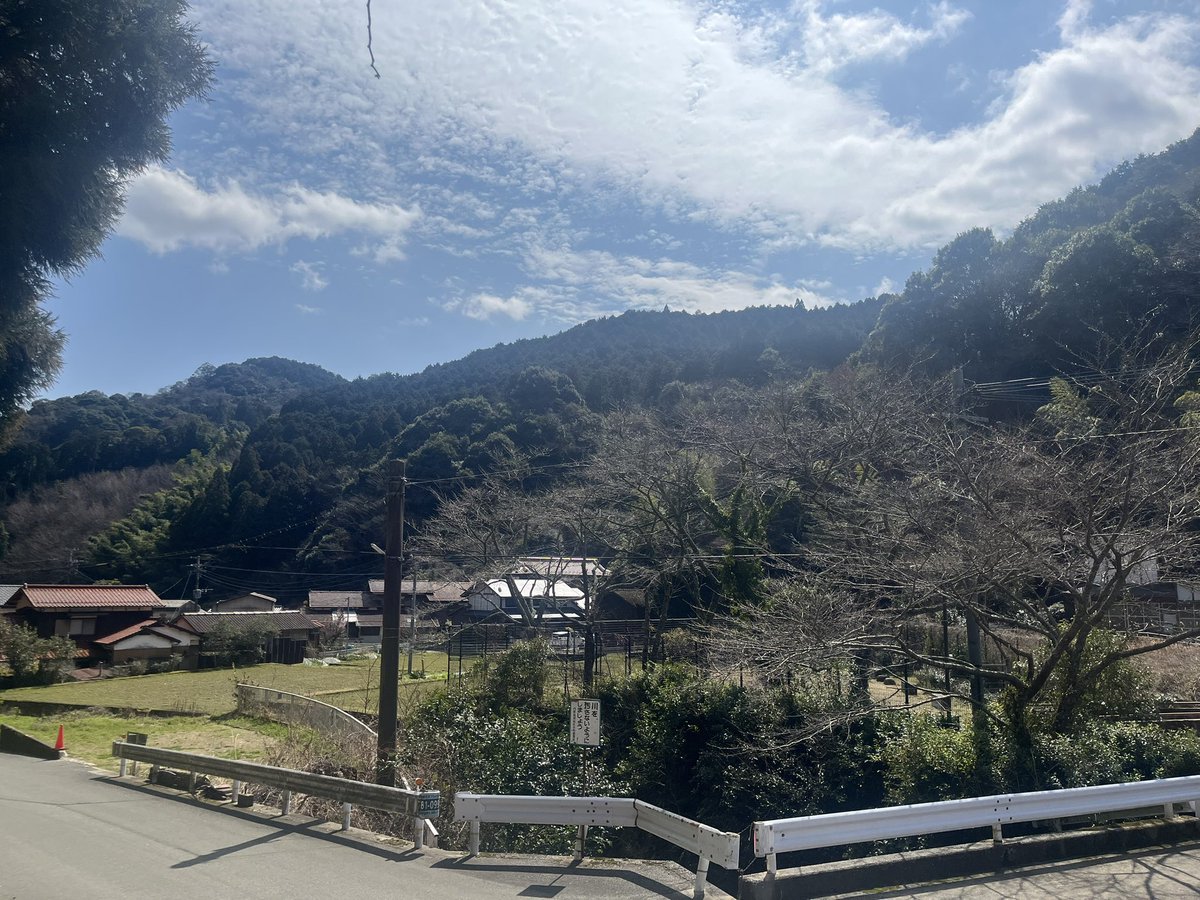 藤 桃子 tweet media