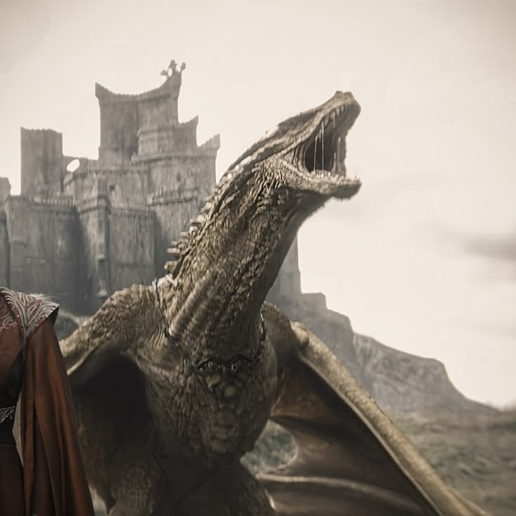 L.Arria 🐈‍⬛ tweet media