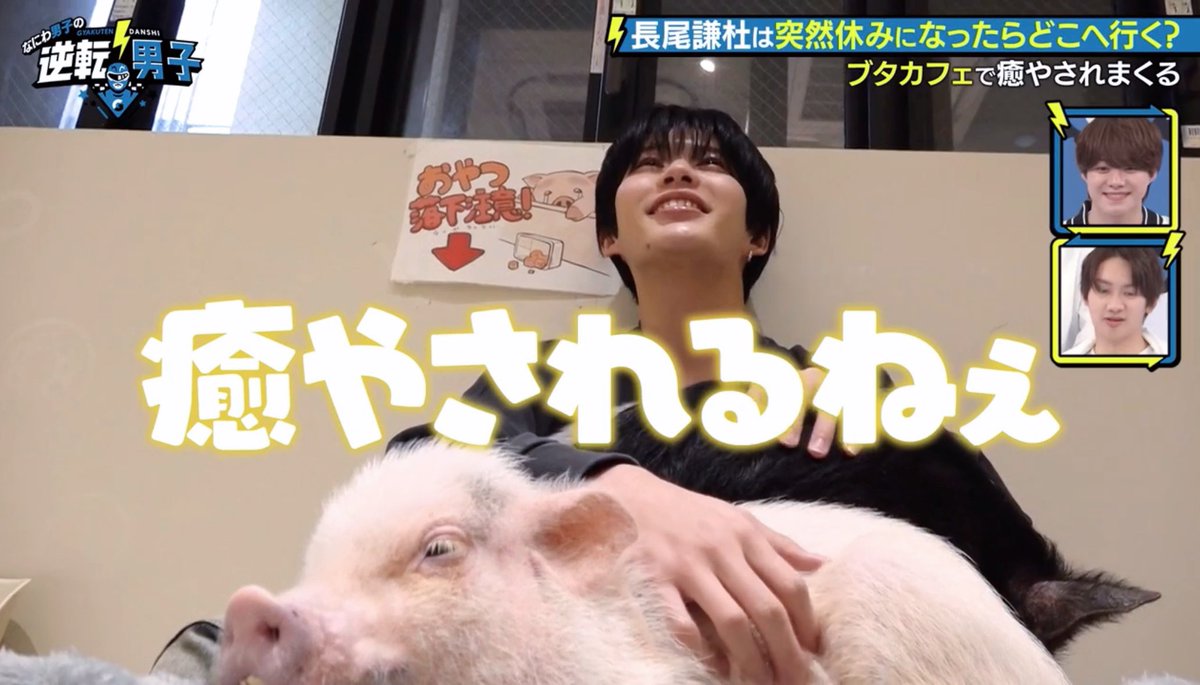 pichima_os2's tweet photo. 癒され空間すぎる𐔌ᵔ ܸ>⩊<︎︎ ͡ 𐦯💭🐷
#逆転男子 #長尾謙杜 https://t.co/2Z4LFCg28c