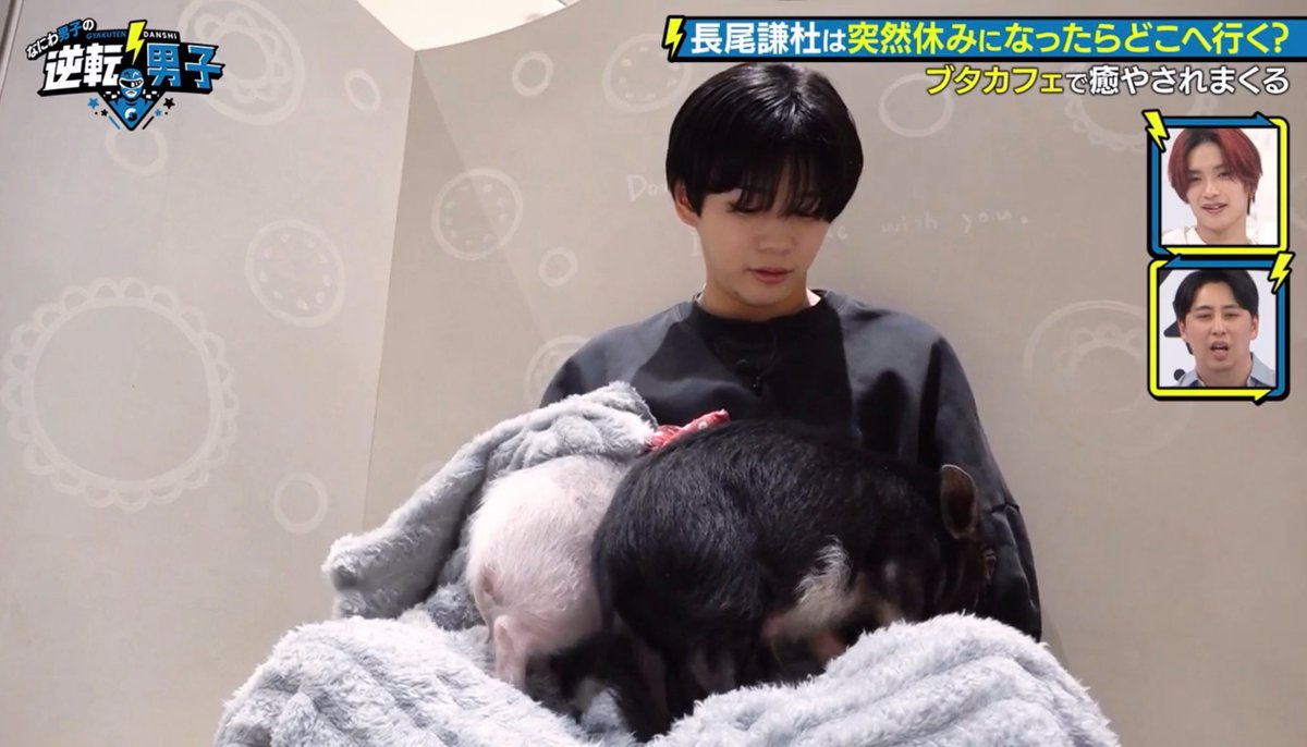 pichima_os2's tweet photo. 癒され空間すぎる𐔌ᵔ ܸ>⩊<︎︎ ͡ 𐦯💭🐷
#逆転男子 #長尾謙杜 https://t.co/2Z4LFCg28c