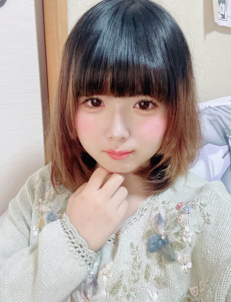 犬、反抗期 tweet media