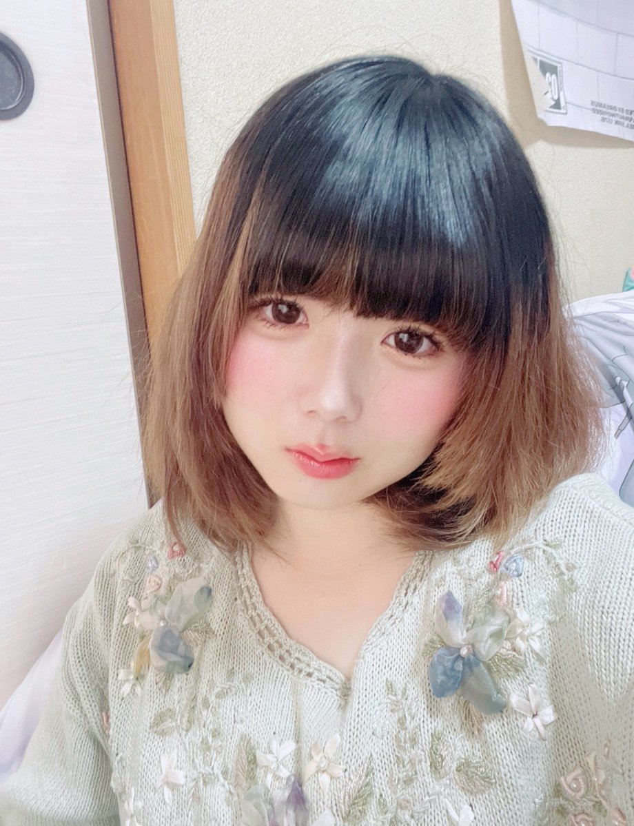 犬、反抗期 tweet media