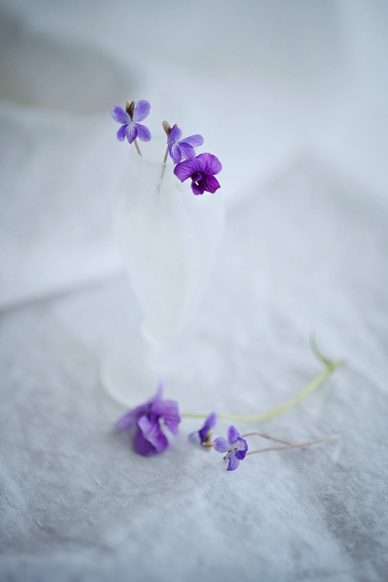 keino glass tweet media