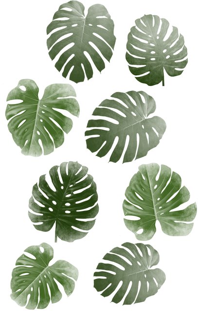 Kristin Nelson tweet media