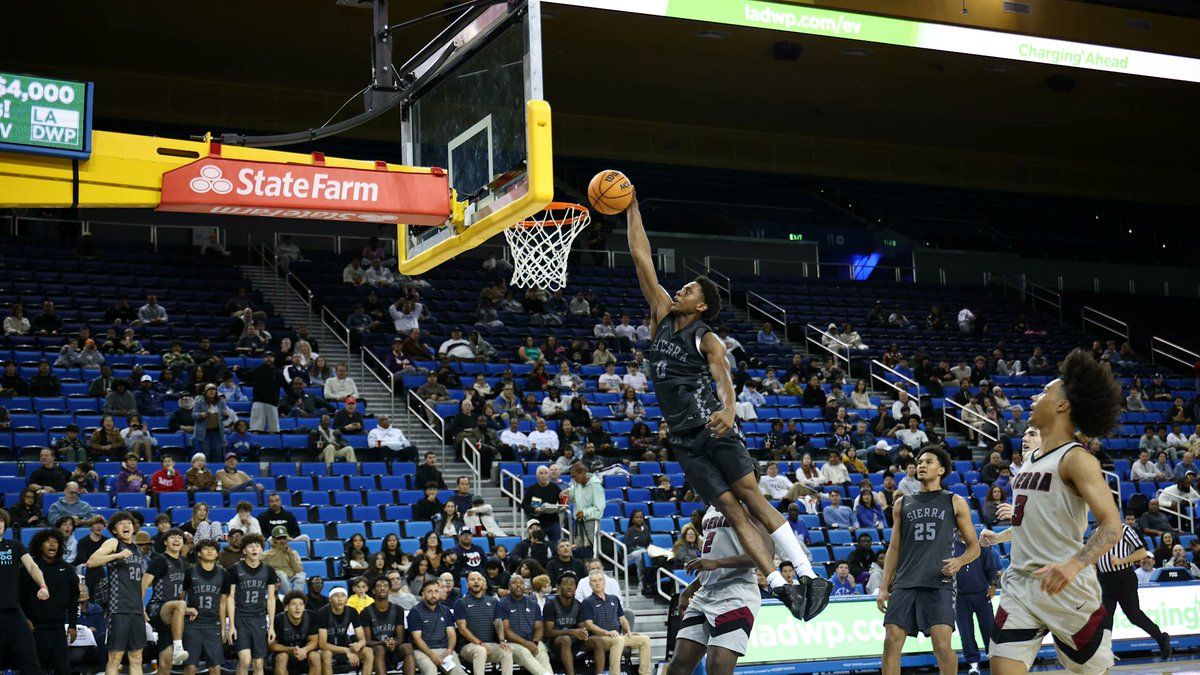 Mitch Stephens tweet media