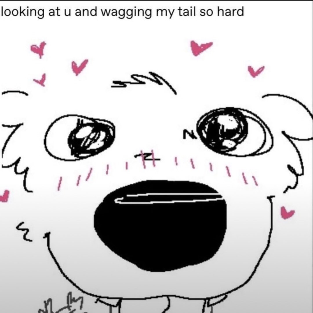 DIOR🐶 (2 PIECE) 🔜 TFF, LVFC 🎰 tweet media