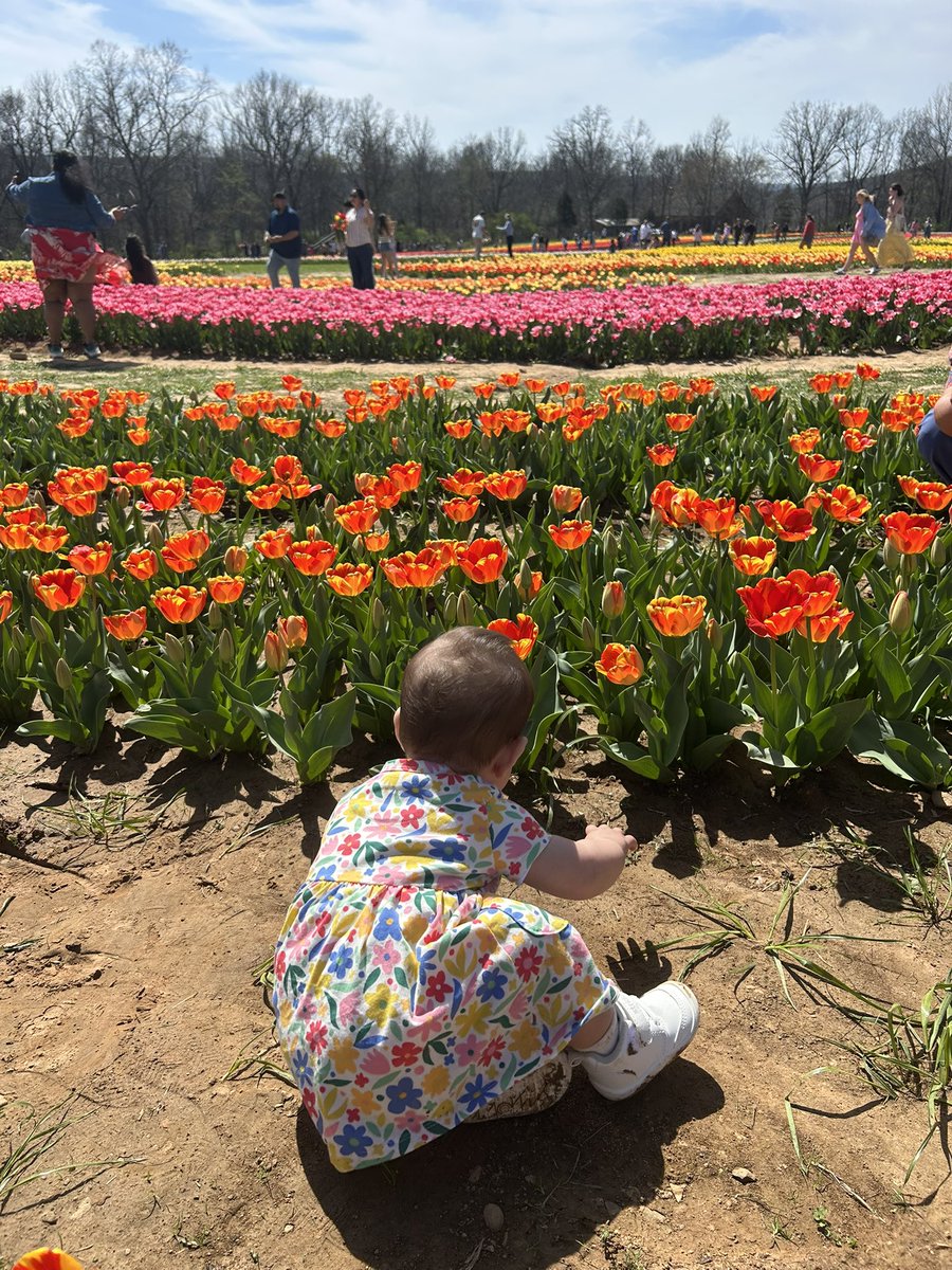 Robert Sigrist tweet media