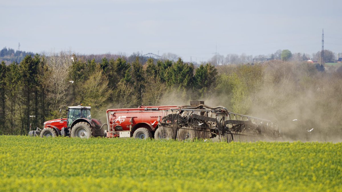 TV 2 Politik tweet media