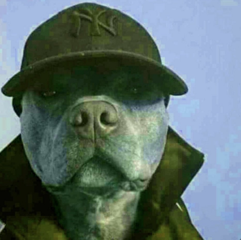 ayayayayaya tweet media