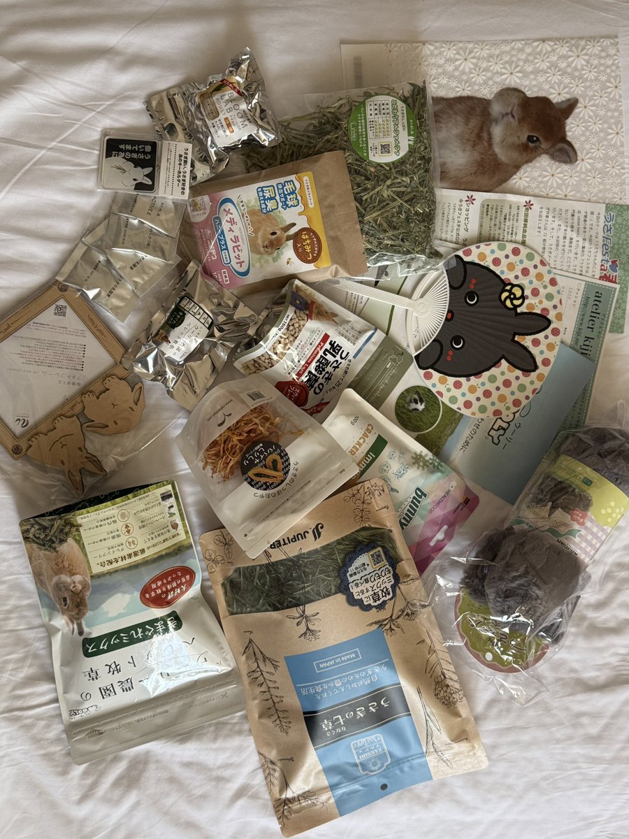 #うさフェス 行ってきた！神イベント😭😭✨️✨️
実家でお留守番中の2ぴょんにはやく会いたい😭お土産買ったよ🐰スーツケース入らんかもしれん😂