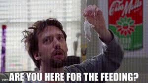 MikeNemo7's tweet photo. @tomgreenlive https://t.co/W63BqnTYVY