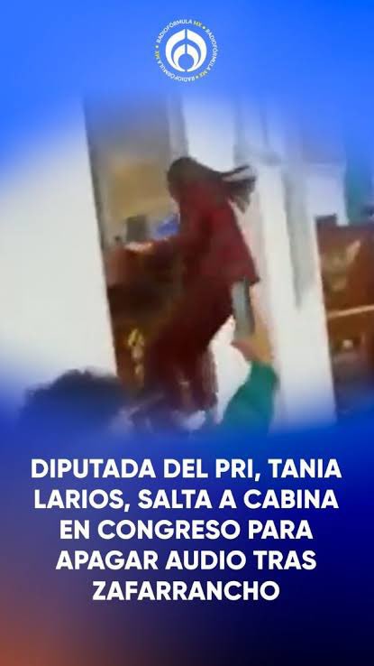 <a href="/TaniaLariosMX/">Tania Larios</a> Como simia como una changa, te vimos  destruyendo y violentando una sesión de la cámara y asi pides que te respeten señora. Con falsa bandera feminista. Ten  tantita madre. Y sin mencionar con los orangutanes misoginos y delincuentes con quienes te juntas. <a href="/alitomorenoc/">Alejandro Moreno</a>