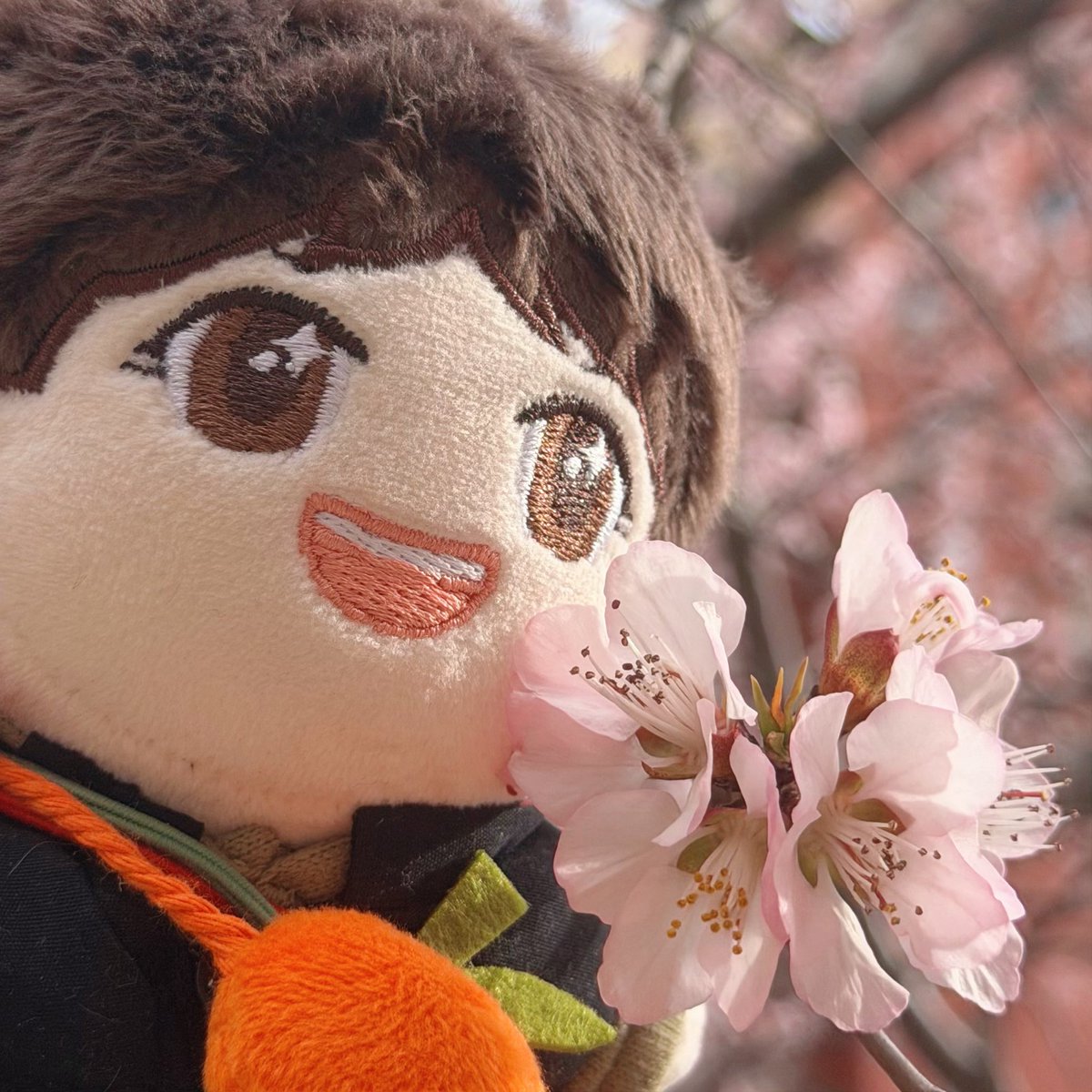 jinsisnoopy's tweet photo. 🌸@BOGUMMY https://t.co/jaFGmO8x8h